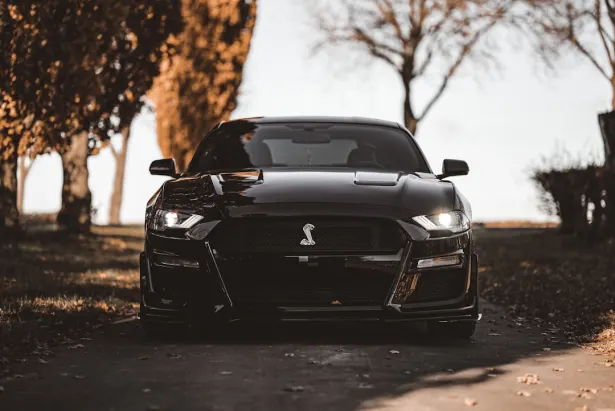 Kasino Golden Palace Apl Android/iOS